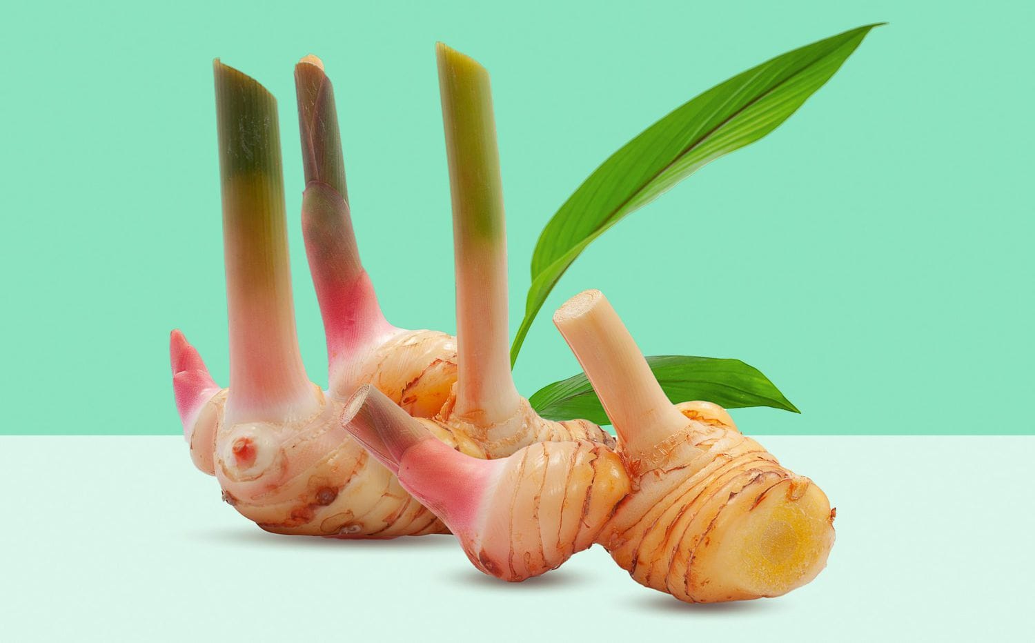 Galangal Benefits in Traditional Medicine